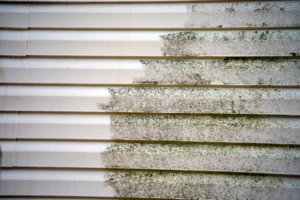 Best Furniture Removal  in Ackerman, MS